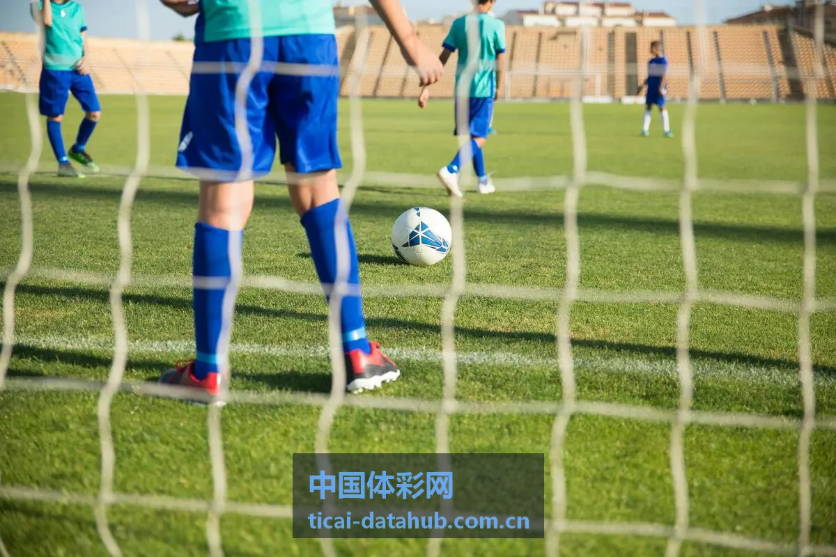 中国体彩网发布2026年体育彩票公益金使用情况公示